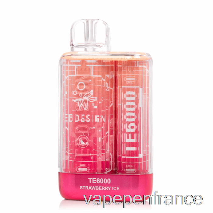 Stylo Jetable De Vape De Glace à La Fraise Eb Te6000
